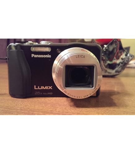 めがねさん専用、Panasonicビデオ Amazon.com : Panasonic Lumix ZS19 14.1 MP High Sensitivity MOS